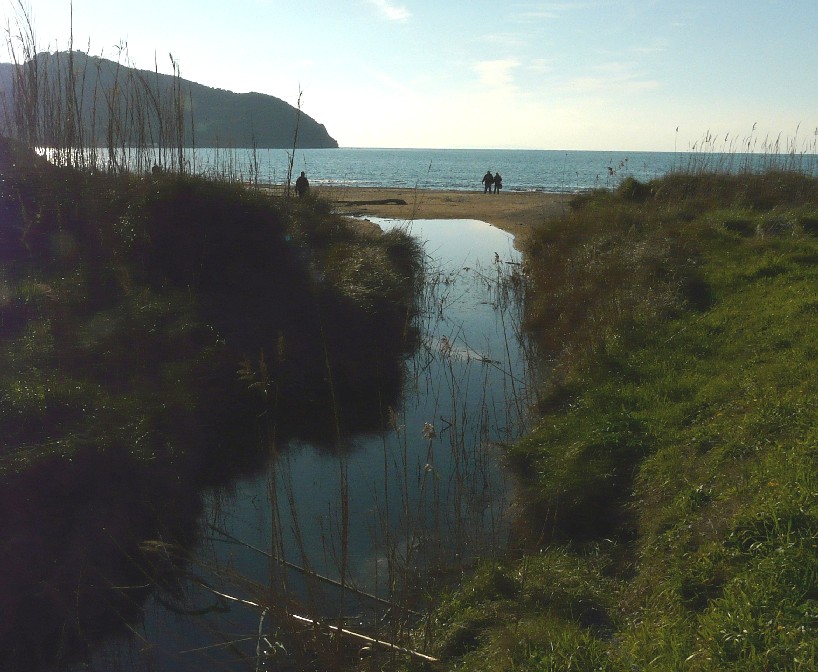 I fossi e lo stagno di Baratti (Piombino - LI)